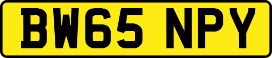 BW65NPY