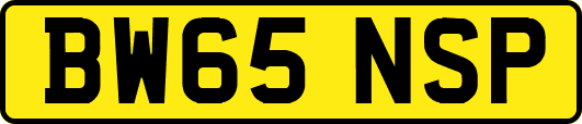 BW65NSP