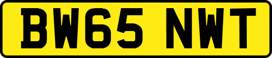 BW65NWT