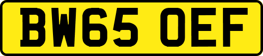 BW65OEF