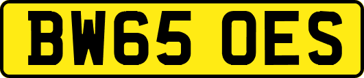BW65OES