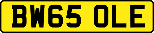 BW65OLE