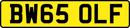 BW65OLF