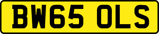 BW65OLS