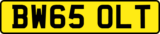 BW65OLT
