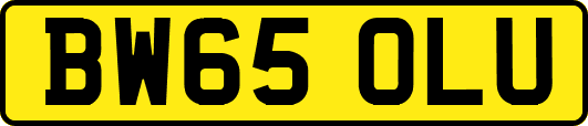 BW65OLU