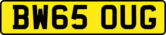 BW65OUG