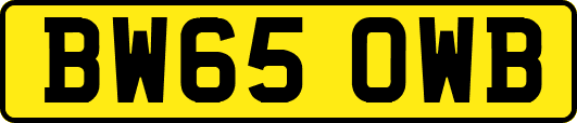 BW65OWB