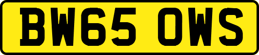 BW65OWS