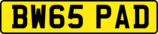 BW65PAD