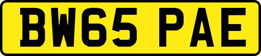 BW65PAE