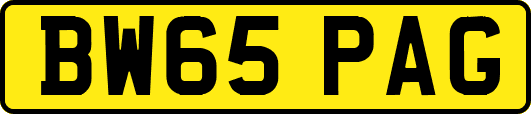 BW65PAG