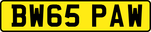 BW65PAW