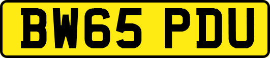 BW65PDU