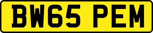 BW65PEM