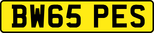 BW65PES