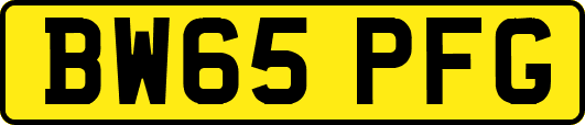 BW65PFG