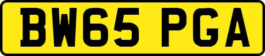 BW65PGA