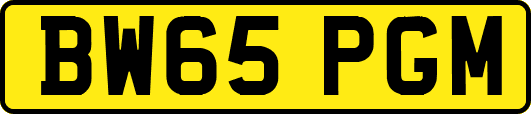 BW65PGM