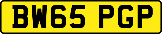 BW65PGP