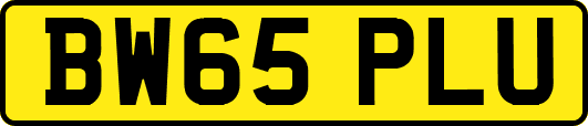 BW65PLU