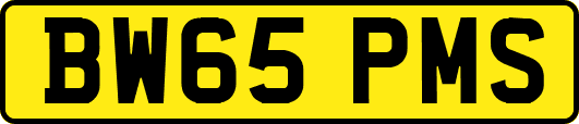 BW65PMS