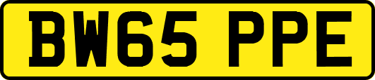 BW65PPE