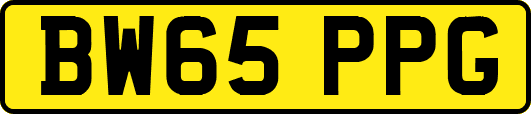 BW65PPG