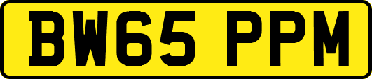 BW65PPM