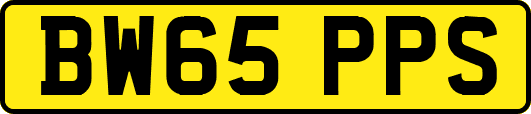 BW65PPS