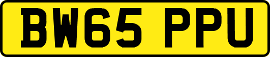 BW65PPU