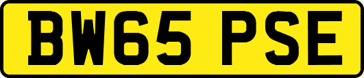 BW65PSE