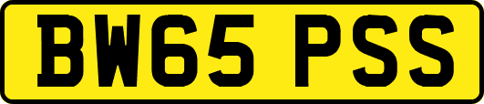 BW65PSS