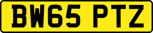 BW65PTZ
