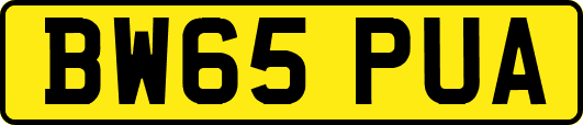 BW65PUA