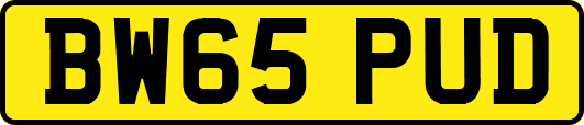 BW65PUD