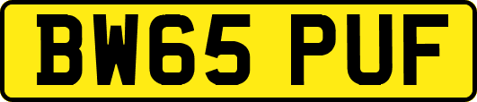 BW65PUF