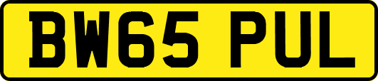 BW65PUL