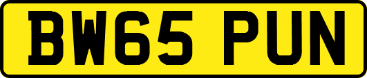 BW65PUN