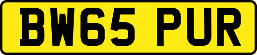 BW65PUR