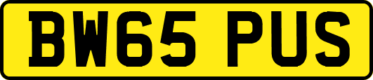 BW65PUS