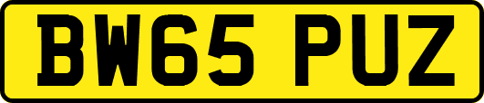 BW65PUZ