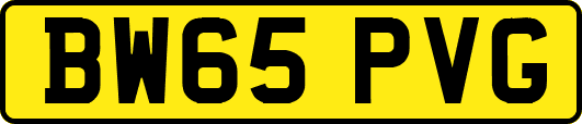 BW65PVG