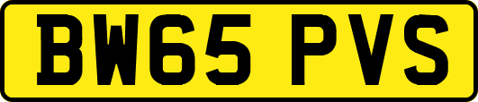 BW65PVS