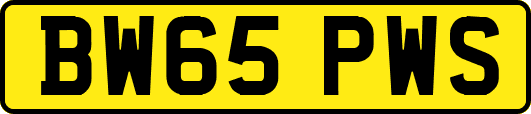 BW65PWS