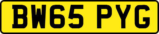 BW65PYG