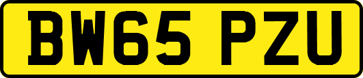 BW65PZU