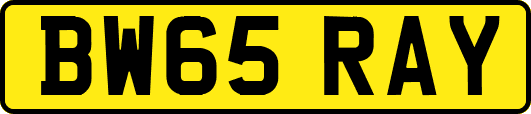 BW65RAY