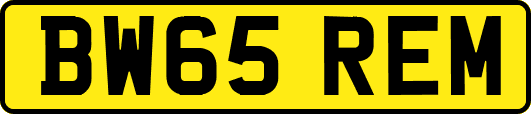BW65REM