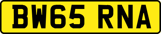 BW65RNA